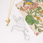 Laura Ashley Silver Llanelli Kingfisher Necklace-4